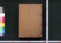 新律綱領・改定律例 合巻 / Shinritsu Kōryō, Kaisei Ritsuryō (The New Penal Code, Revised and Supplemented Penal Code), Combined image