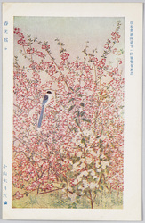日本美術院第十一回展覧会出品 「春光煕々」 小山大月氏筆 / Work Exhibited at the 11th Japan Art Institute Exhibition: Relaxing and Enjoyable Spring Scenery, by Mr. Koyama Taigetsu image