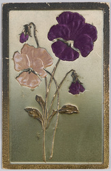 スミレ(布貼付)(Raphael Tuck ＆ Sons”EMBOSSED SATIN”Series) / Violets (Cloth Attached) (Raphael Tuck &amp; Sons "Embossed Satin" Series) image