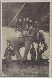 東洋無比　矢野動物館　大象 / Unrivaled in East Asia, Yano Zoo, Great Elephant image