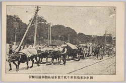 御柩車奉曳御料牛二千貫重量載積御道筋練習 / Imperial Oxen Practicing Towing Hearse with 2,000 Kan Load Along the Route image