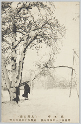 花と雪(上野公園)明治四十一年四月九日東都六十年来の大雪 / Flowers and Snow (Ueno Park): On April 9th, 1908, the Eastern Capital Had the Heaviest Snowfall in 60 Years image