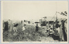 武州浮間の原　桜草絵葉書（５）/Picture Postcard of Primroses on the Ukimagahara Field, Bushu (5) image