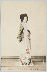 横浜元禄 桃山おどり いろは / Yokohama Genroku, Momoyama Dance, Iroha image