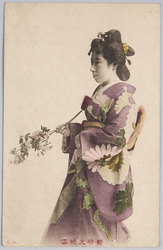 新橋元禄姿 / Shimbashi Genroku Sugata (Picture Postcards of Beautiful Women) image