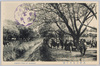 武州小金井の桜/Cherry Blossoms in Koganei, Bushū image