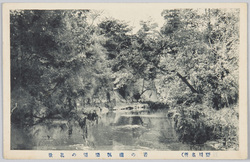 (菖野川名所)岩の瀧楓楽園の真景 / (Famous Views of Takinogawa) True View of the Iwa no Taki Waterfall in the Fūrakuen Garden image
