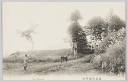 箱根旧関所跡 / Site of the Former Hakone Checkpoint image