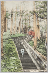 日光石段 / Nikkō: Stone Steps image
