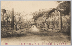 二月二十七日　観梅行　三　水戸公園ノ梅林1 / February 27th, Plum-Blossom Viewing 3, Plum Grove at Mito Park 1 image