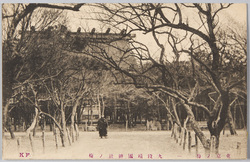 東京ノ梅　一　九段靖国神社ノ梅 / Plum Blossoms in Tokyo 1: Plum Blossoms in the Yasukuni Shrine, Kudan  image
