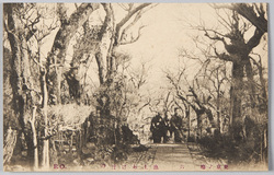 東京ノ梅　六　池上あけぼの / Plum Blossoms in Tokyo 6: Ikegami Akebono image