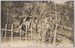 東京ノ梅　八　大森八景図 / Plum Blossoms in Tokyo 8: Ōmori Hakkeien Recreation Park image