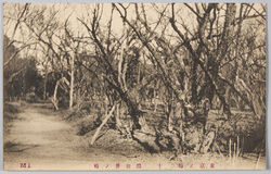 東京ノ梅　十　銀世界ノ梅 / Plum Blossoms in Tokyo 10: Plum Garden Ginsekai (Literally, "Silver World") image