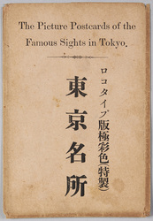 東京名所 ロコタイプ版極彩色 / Picture Postcard of the Famous Sights of Tokyo: Collotype Edition in Full Color image