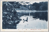 井の頭恩賜公園　池の鳥/Inokashira Park: Birds on the Pond image