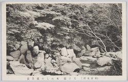 東京名所　王子園　名ぬしの瀧 / Famous Views of Tokyo, Nanushi no Taki Waterfall, Oji image