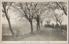 江戸川堤の桜(柴又)/Cherry Blossoms on the Edogawa Embankment image
