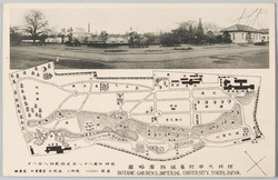 理科大学附属植物園　案内図 / Gide Map of Botanical Garden Belonging to the Imperial University of Tokyo  image