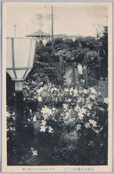日比谷公園のつつじ / Azaleas in Hibiya Park image