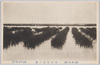 大森名所/Famous Views of Omori image