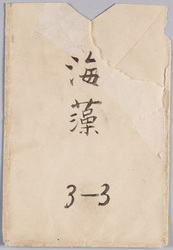 絵葉書　袋　海藻 / Envelope for Picture Postcards, Seaweed image