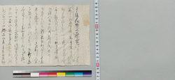 井上貞流宛書状(其許儀此度逐電の所業につき此度は差免じ忍へ差遣す) / Document of Samurai Class image