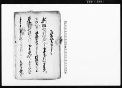 書付綴(武州下井草村願書写) / Document of Rural Area image