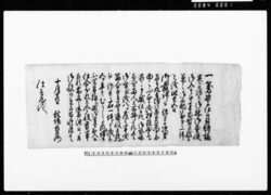 (書状)(名主九兵衛 同市左兵衛不正につき所払) / Document of Litigation image