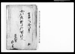 小川庄野中村所証文(野中村百姓山にて伐木の件につき) / Document of Contract image