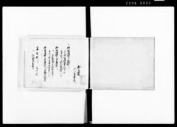 江戸御府内役附人名(13~21番組、番外吉原、品川) / Document of Townspeople image