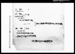 乍恐書付を以奉願上候（私弟子七五郎と彦七口論の節仲人佐兵衛に彦七手疵為負逃去出入につき吟味願） / Document of Community image
