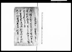 乍恐口上之趣書取ヲ以奉申上候（下総国相馬郡鷲谷村百姓市郎右衛門聟養子石五郎一件につき） / Document of Rural Area image