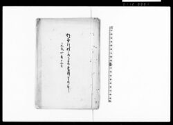 五分通　差出し地所絵図面（和泉村弥四郎受新開地所図面） / Document of Litigation image