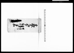 文政十一戊子より変事出火手控（村々諸願控） / Document of Community image