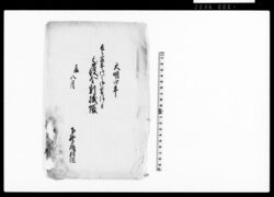 去々寅年川々御普請ニ付高役金割賦帳（下野尻村組） / Document of Politics image