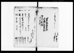 （上野国佐位郡茂呂村字沼田往還にて変死人一件につき諸書類控書） / Document of Litigation image