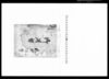 御用留/Document of Rural Area image