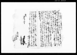 （畑谷村雨天虫気にて年貢上納難渋の為宥免願の件につき返書） / Document of Rural Area image
