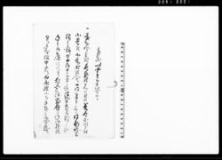 乍恐以書付奉願上候（武州埼玉郡地押沼開発の処土手見分願につき） / Document of Rural Area image