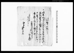 引取申一札之事(長八引取の件につき) / Document of System image