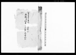 武蔵国多摩郡（木曽）村組合鉄炮并似寄（之品）迄無之御請証文 / Document of Rural Area image