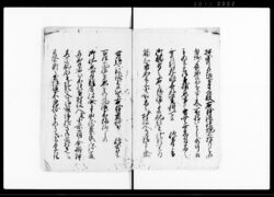 差上申一札之事(風俗取締の旨につき請書) / Document of Rural Area image