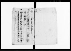 宗門人別書上帳　下書 / Document of Laws image