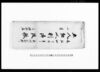 五人組人別御改帳/Document of Laws image