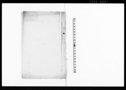 乍恐以書付奉申上候（古金銀所持之者一切無之旨につき） / Document of Rural Area image