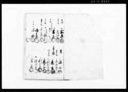 御仕置五人組帳 / Document of Laws image