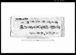 当戌田方植附御見分御案内帳（安政五年当午田方植附古荒相改書上帳付） / Document of Rural Area image