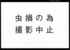 覚（上納金書上）/Document of Rural Area image