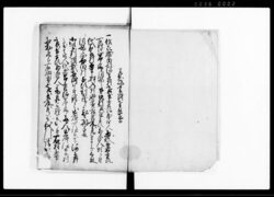 西吉田村より河辺村江相掛り候出入江戸御吟味中書類留　二番（山論出入につき） / Document of Laws image